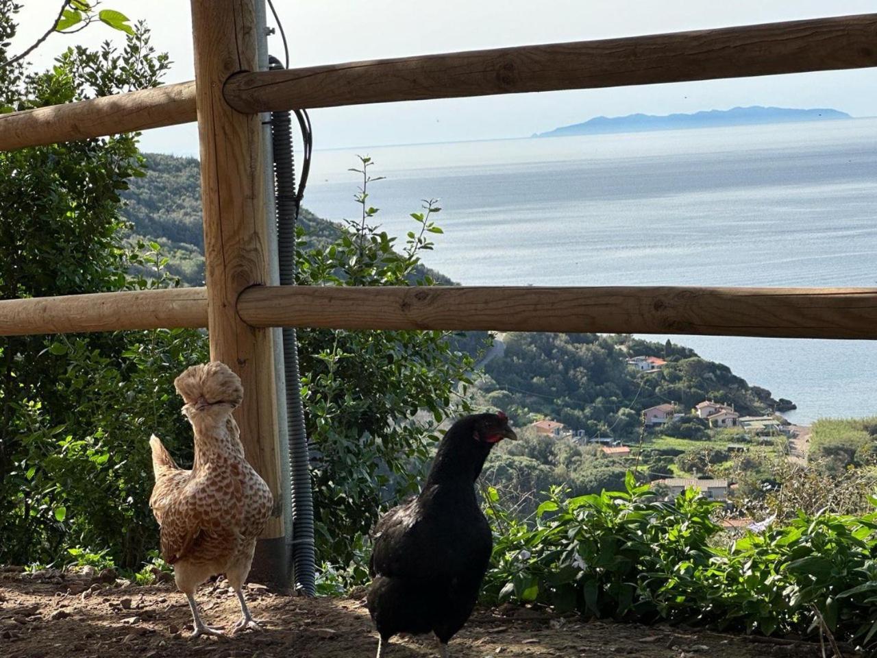 Agriturismo Paradisa Rio dellʼElba Zewnętrze zdjęcie