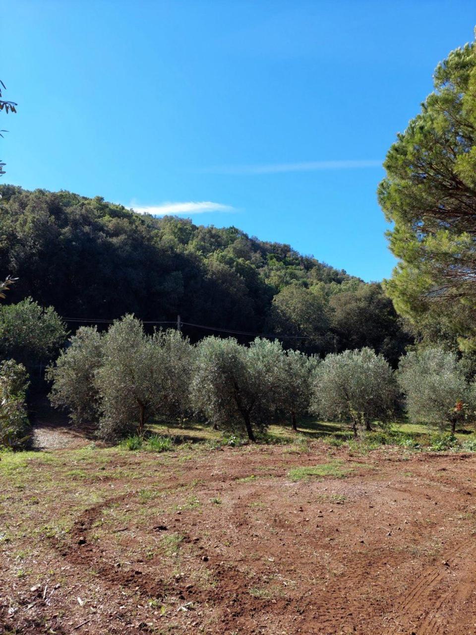 Agriturismo Paradisa Rio dellʼElba Zewnętrze zdjęcie