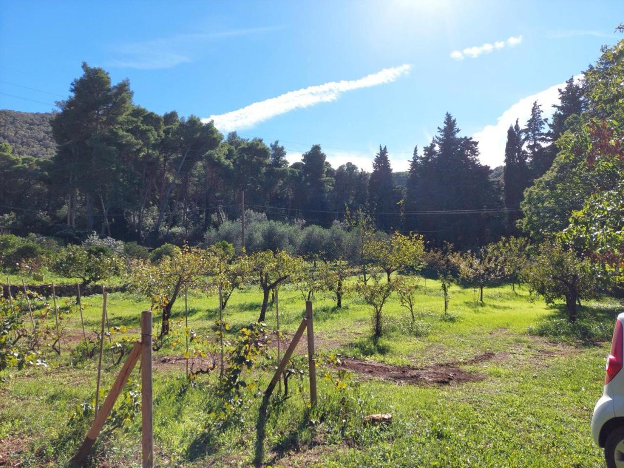Agriturismo Paradisa Rio dellʼElba Zewnętrze zdjęcie